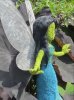 IMG_6547.JPG