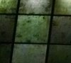 crop 27.jpg