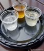 2015-Epcot-Food-and-Wine-Festival-Mexico-Tequila-Flight-521x600.jpg