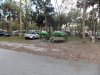 Manatee Hammock 3-16 007 copy.jpg