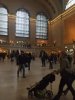 IMG_3965.jpg