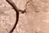 crop 35.jpg