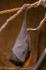 _MG_7209.jpg