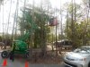 fort wilderness 3-17 010 copy.jpg
