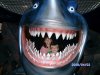 2009_04040031.JPG