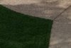 crop 25.jpg