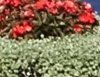 CROP 32.jpg