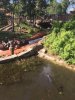 WDW GATOR SPLASH.jpg