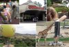 05_Safari Park.jpg