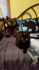 upload_2016-3-22_16-9-27.png