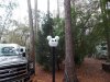 fort 3-19-16 001 copy.jpg