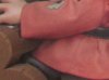 image.jpeg