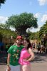 10003593_10100286775541486_5218393968006010992_o.jpg