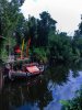 Animal Kingdom boat.jpg