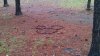 fw march 2016 037.jpg