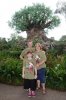 AK_TREEBACK_7559907214.jpeg