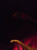DSCF0881 (768x1024).jpg