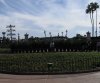 IMG_0636.jpg