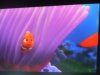 Epcot Nemo.JPG
