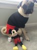 MickeyMushu.jpg MickeyMushu.jpg