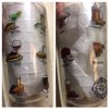 epcot tervis.jpg