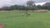 100_0168.JPG