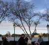 IMG_0671.jpg