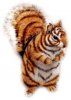 TigerSquirrel.jpg