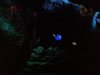 Disney Details-Finding Nemo.JPG