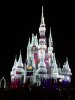 Disney Castle.JPG