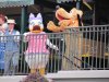 IMG_0237.JPG