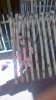 WP_20160408_013.jpg