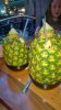 WP_20160408_031.jpg