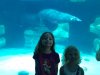 IMG_4520.jpg