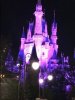 IMG_2080.JPG