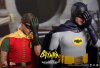Robin4.jpg