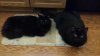 20151117_104422.jpg 20151117_104422.jpg