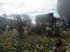 IMG_8889 - Copy.JPG
