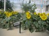 IMG_8903 - Copy.JPG