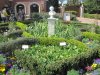 IMG_8959 - Copy.JPG
