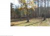 backyard.jpg