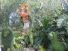 IMG_9010 - Copy.JPG