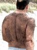 hairy.jpg