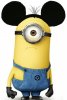 minion.jpg