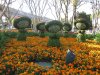 IMG_9046 - Copy.JPG