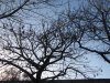 IMG_9050 - Copy.JPG