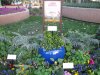 IMG_9055 - Copy.JPG