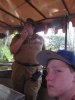 IMG_9260 - Copy.JPG