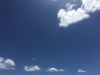 IMG_4780.png