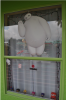 BIg Hero window.PNG